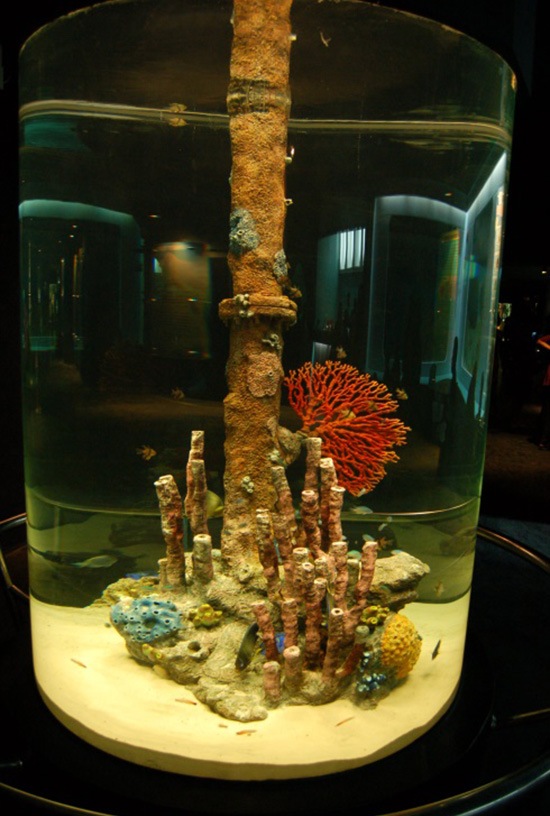 Songkhla Aquarium